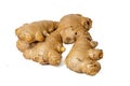 Photo of fresh raw fresh gingers taken with a high-resolution camera using the focus-stacking technique on a white background Royalty Free Stock Photo