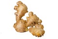 Photo of fresh raw fresh gingers taken with a high-resolution camera using the focus-stacking technique on a white background Royalty Free Stock Photo