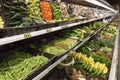 Fresh vegetables on display in farmer`s market Royalty Free Stock Photo