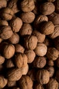 Photo of fresh walnuts