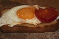 Art photo of fried eggs with tomato slices fried in butter on toast close-up