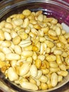 Photo of fried peanut food in a plate container