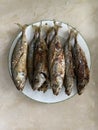 Photo of Fried Tamarong, Mackerel Scad or Matambaka on Plate Filipino Dish