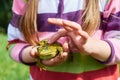 Photo of a frog close up on a man`s hand Royalty Free Stock Photo