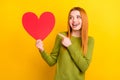 Photo of funny ginger hairdo young lady point look heart wear green sweater isolated on yellow color background