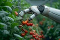 Photo Future farming Robot arm harvests vegetables in a technologically advanced greenhouse