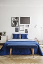 Gallery on a white wall above a navy blue bed with elegant cushions in a stylish bedroom interior