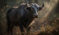 photo of gaur Bos gaurus in its natural habitat. Generative AI Royalty Free Stock Photo