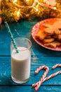 Photo of ginger biscuits, glass of milk, caramel sticks, spruce branches with burning garland