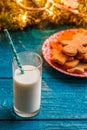 Photo of ginger biscuits, glass of milk, spruce branches with burning garland