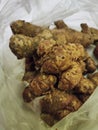photo of ginger a typical Indonesian herbal plant which is highly efficacious in relieving fever