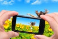 Photo girl in a field of sunflowers