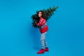 Photo of glad cheerful girl wear trendy printed clothes going store carrying christmas tree isolated on blue color