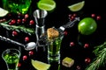 Photo of a glass of absinthe with spoon, brown sugar, cranberries, ice cubes and lime slices