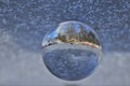 Glass globe refracting forest