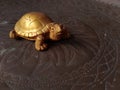Golden tortoise ade from clay Royalty Free Stock Photo