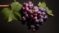 Vibrant Grape Image On Black Background Royalty Free Stock Photo