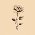 Minimalist Rose Flower Tattoo On Beige Background