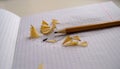 Photo of graphite pencil with shavings Royalty Free Stock Photo