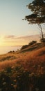 Breezy Scenery: Majestic Hill With Tall Grasses In Serene Evening Glow