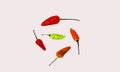 Photo of green chilies between red chilies and orange chilies