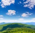 Photo of green misty thick Carpathian forest at summer day in mountains