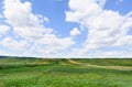 Photo of green wheat, corn and sunflower fields with blue sky