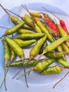 The photo of group cayenne paper (cabai rawit) Royalty Free Stock Photo
