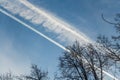 The photo of a group of crisp and blurred white traces of airplanes in a blue sky with dark silhouettes of branches of apple trees