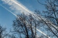 The photo of a group of crisp and blurred white traces of airplanes in a blue sky with dark silhouettes of branches of apple trees