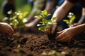 Photo Group of people planting seedlings in a close up scene