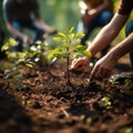 Photo Group of people planting seedlings in a close up scene