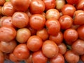 Photo group of red tomato