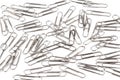 Photo of the group steel paperclips Royalty Free Stock Photo