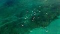 Photo of a group of surfers who are waiting a wave in the ocean