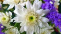 Closeup of group of various flowers