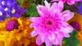 Closeup of group of various flowers