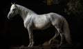 photo of Hackney show horse on black background. Generative AI Royalty Free Stock Photo