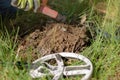 photo a hand in a glove using a pinpointer looks for a treasure in the dug-out earth, but found rubbish. Royalty Free Stock Photo