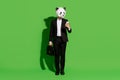 Photo of handsome corporate guy hold case phone wear panda mask black tux isolated on green color background