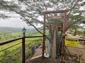 Photo of hanging bridge under tree during cloudy day.