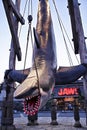 Photo of the hanging JAWS Royalty Free Stock Photo