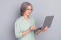 Photo of happy focused concentrated mature businesswoman in glasses working in laptop isolated on grey color background