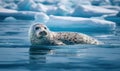 Photo of harp seal floating gracefully on a vibrant icy blue Arctic sea The photo is emphasizing the details and textures of the