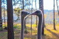 Photo of the head and neck of two ostriches against the background of blurred trees and a fence. Royalty Free Stock Photo