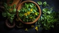 Purslane on a wooden plate