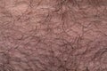 Photo of man`s pubis with the black hairs, closeup photo