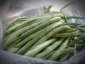 photo of heaps of young green beans in white plastic bags ready to be processed into vegetables for lunch