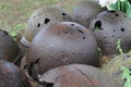 Helmets of Soviet soldiers of the Great Patriotic War