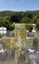 Close up of lichen on a large cross in the cemetery